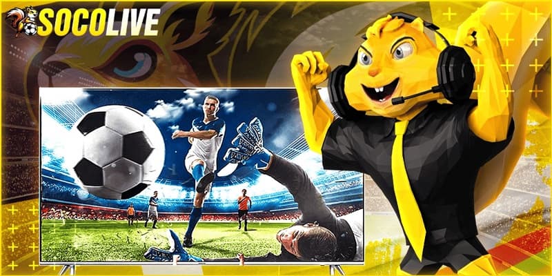 Tại sao Socolive fanta quan trọng?