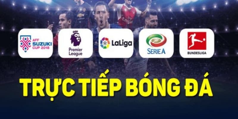 Tại sao nên chọn trực tiếp bóng đá Socolive?